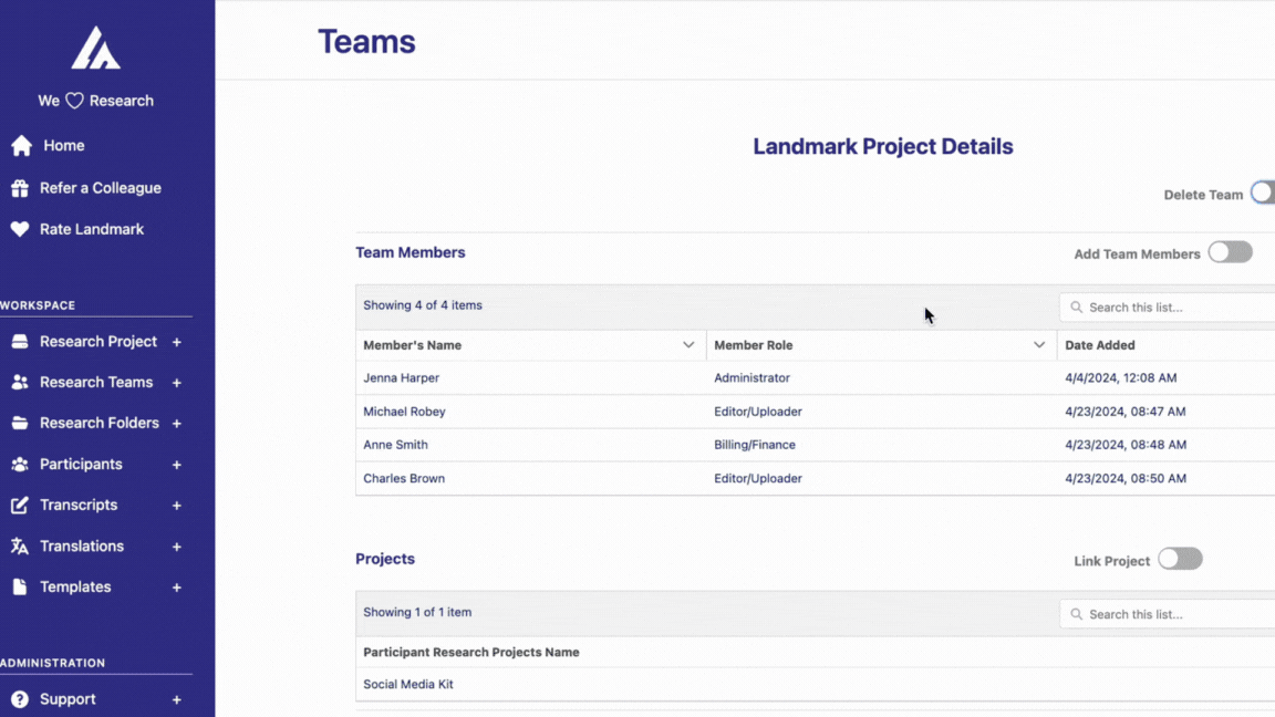 Team Management Interface